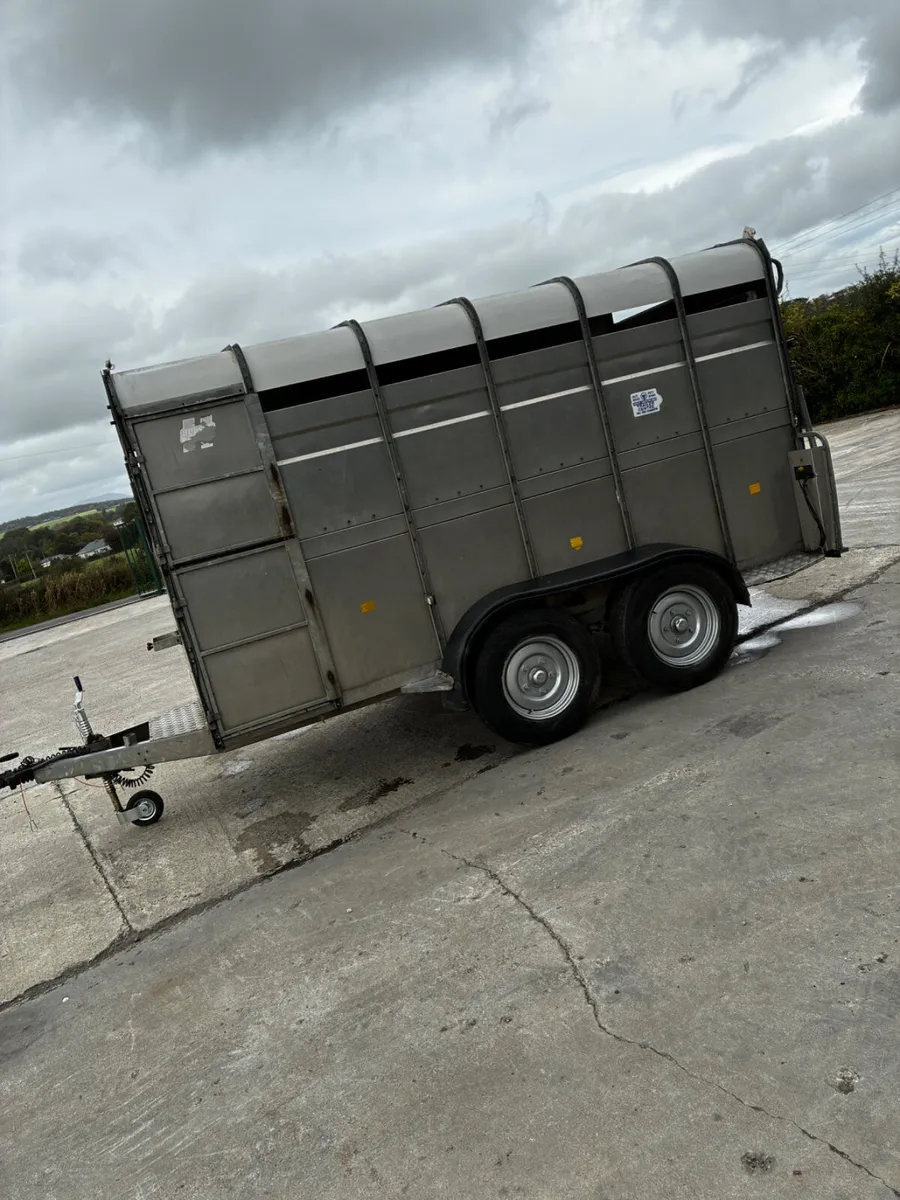 12ft Hudson Livestock Trailer. - Image 2