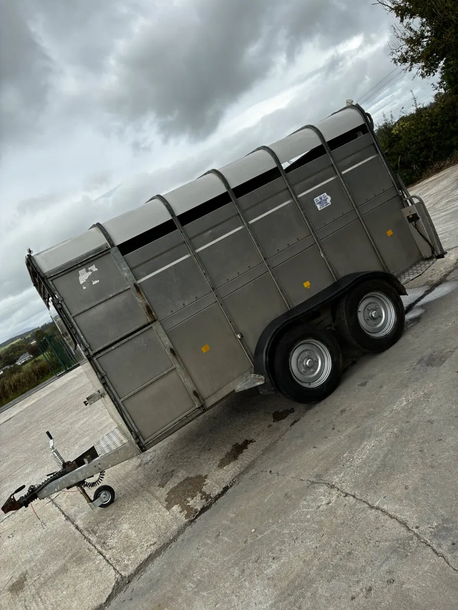 12ft Hudson Livestock Trailer. - Image 3