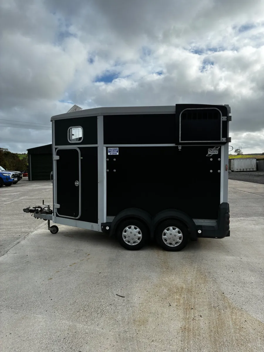 HB511 Ifor Williams Horse Box - Image 2