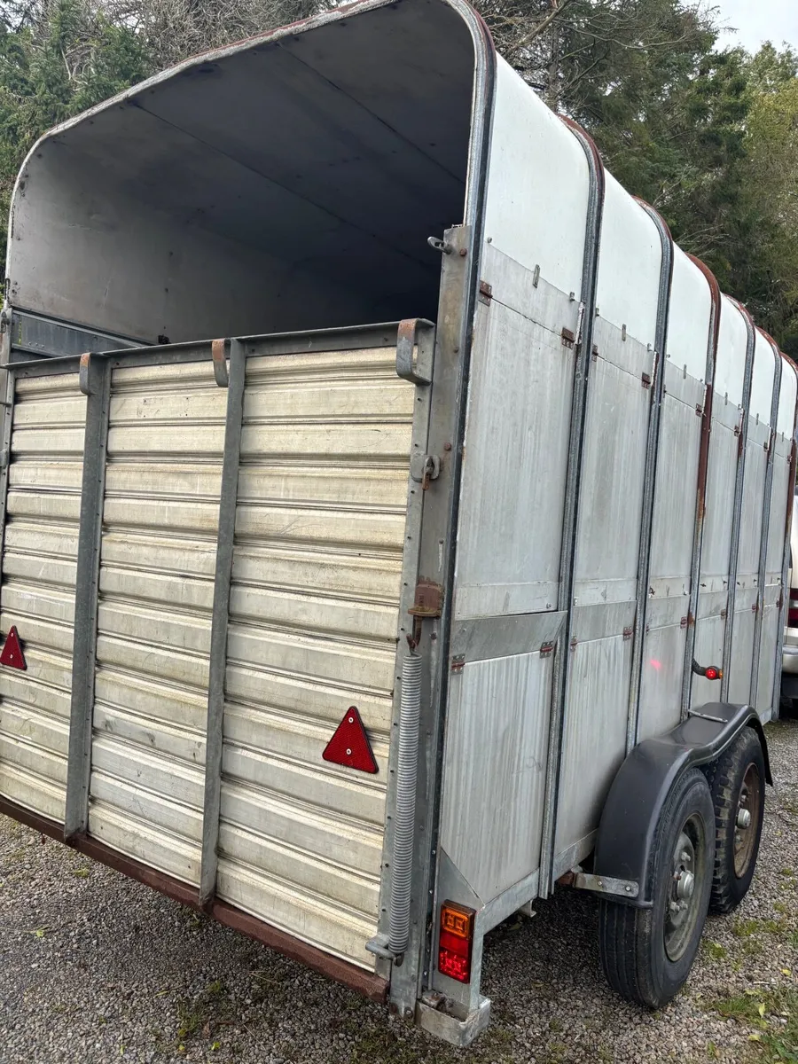 Cattle trailer - Image 4