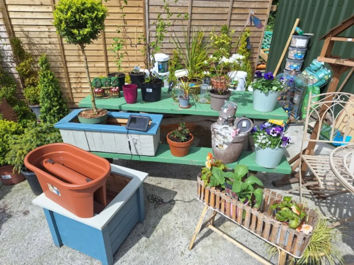 Retirement, Stock Remarketing, Clearance Auctions - Image 2