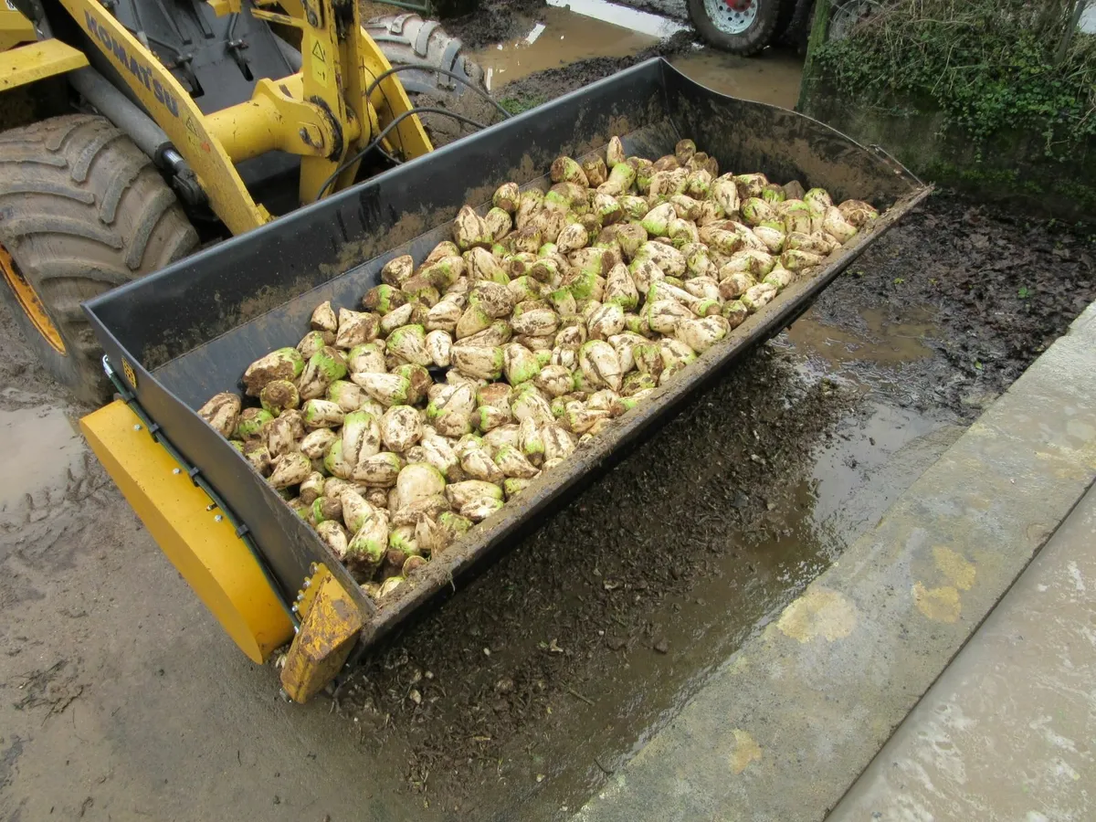 Beet washer. Mechanical wild beet puller - Image 3