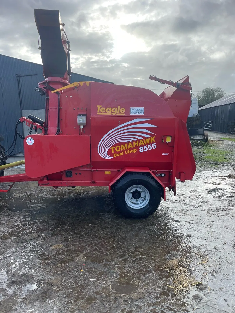 Teagle Tomahawk - Image 1