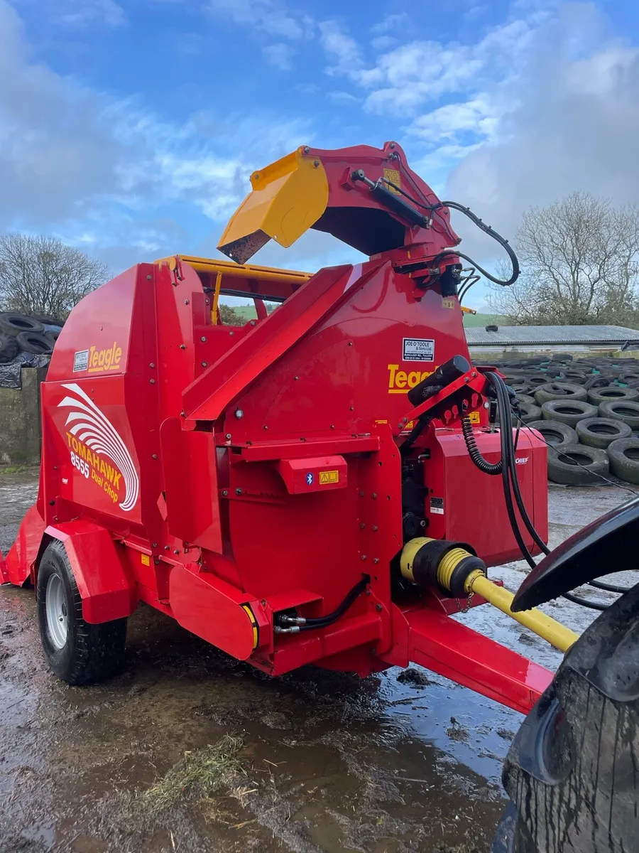 Teagle Tomahawk - Image 3