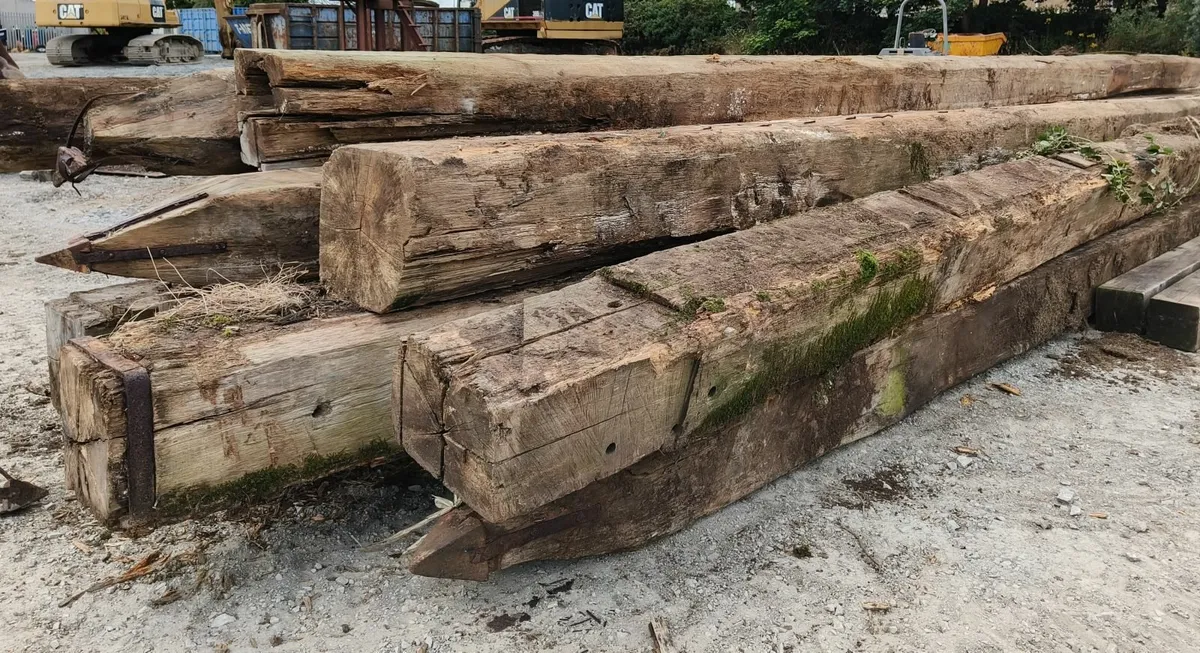 Greenheart Timber Piles - Image 1