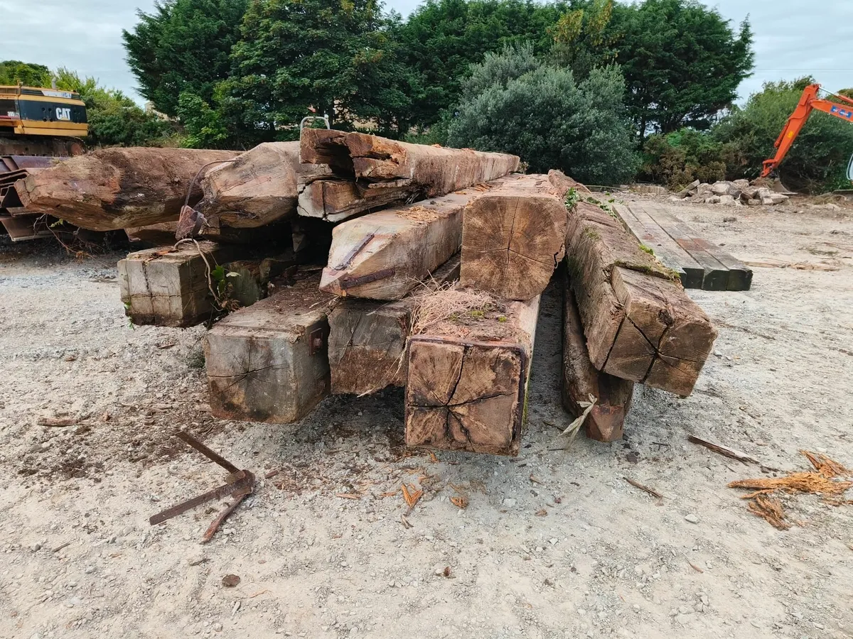 Greenheart Timber Piles - Image 2