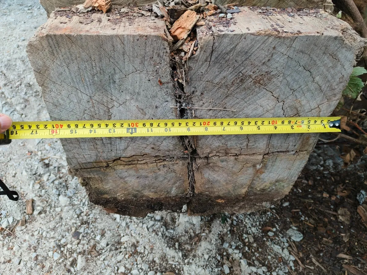 Greenheart Timber Piles - Image 3