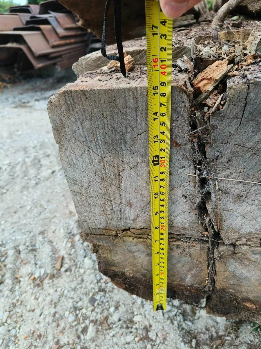 Greenheart Timber Piles - Image 4