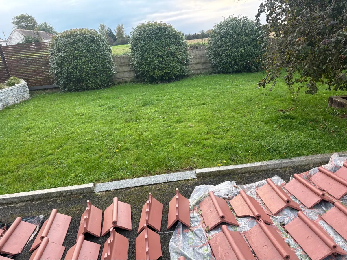 Ridge tiles - Image 2