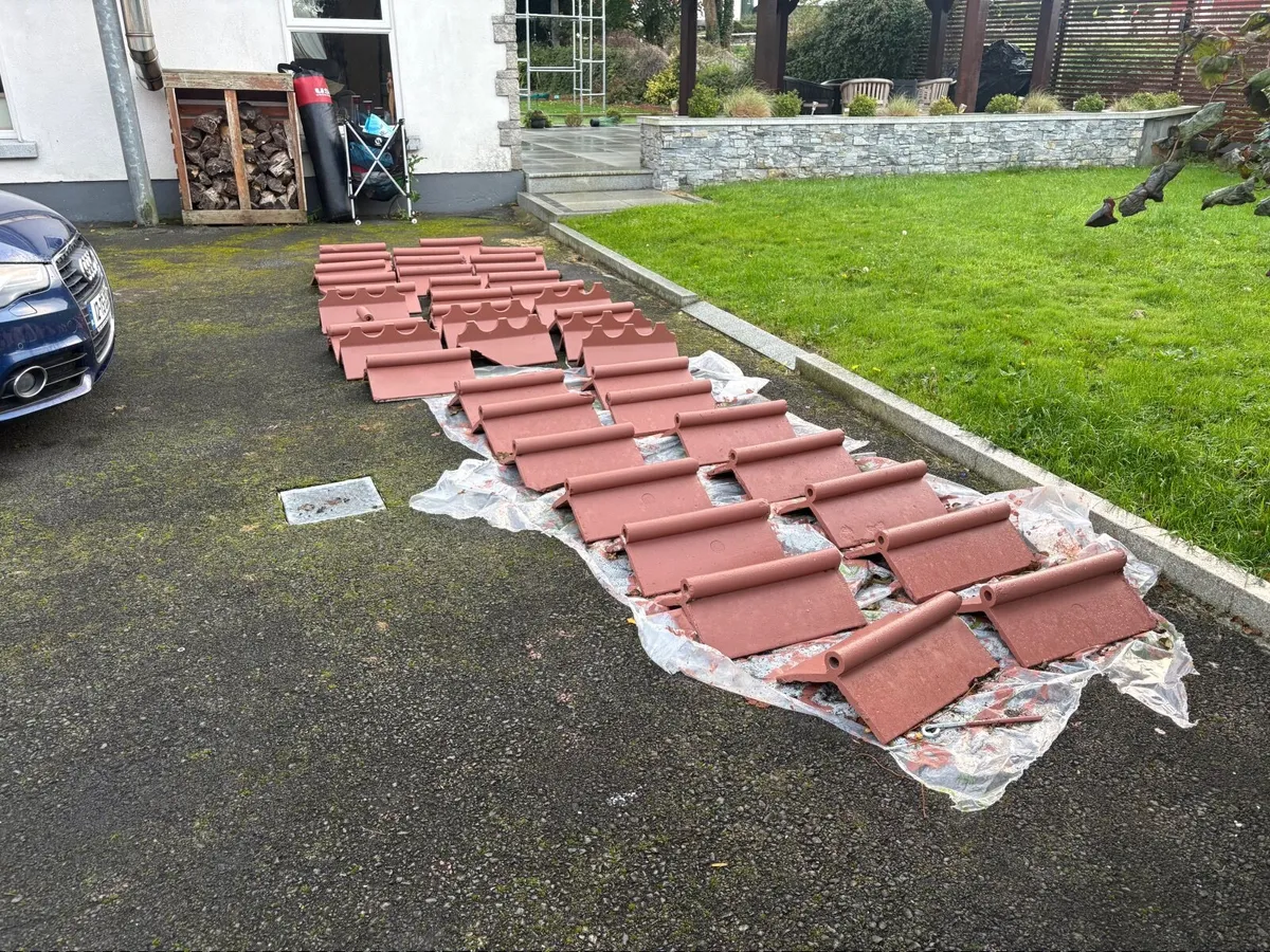 Ridge tiles - Image 3