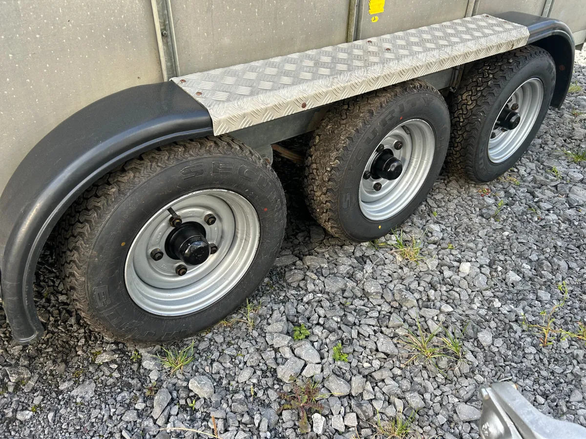 Hudson 14x6 Tri Axle Cattle Trailer - Image 4