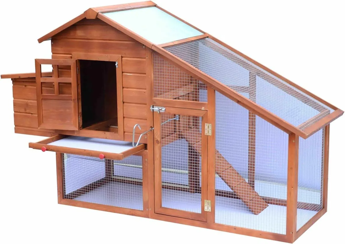 Chicken Coop House EGGCELLENT LARGE - Image 1