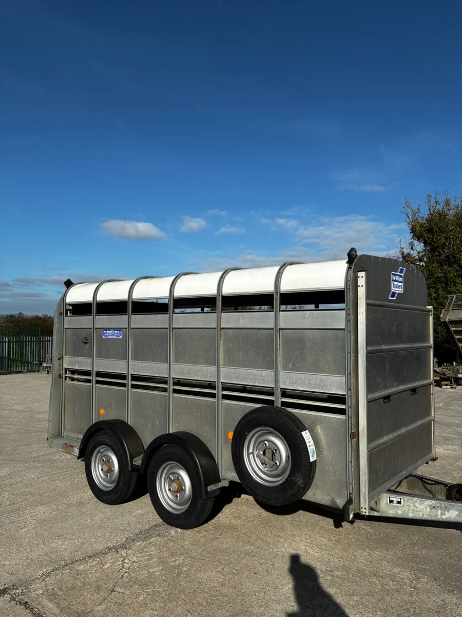 12ft ifor Williams cattle trailer - Image 1