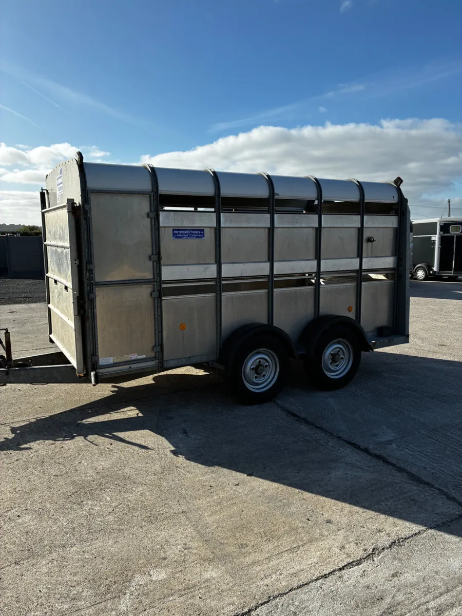 12ft ifor Williams cattle trailer - Image 2