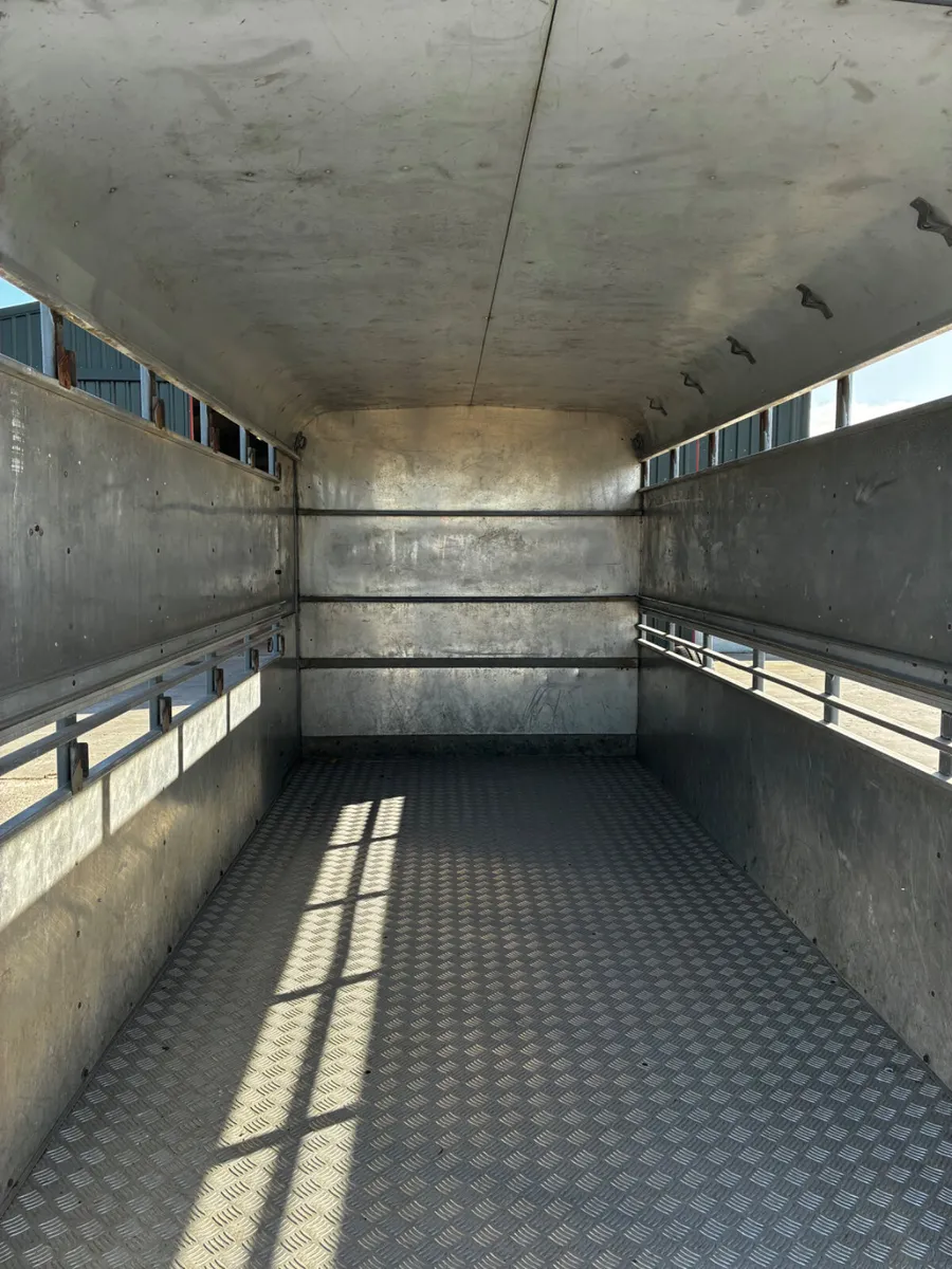 12ft ifor Williams cattle trailer - Image 3