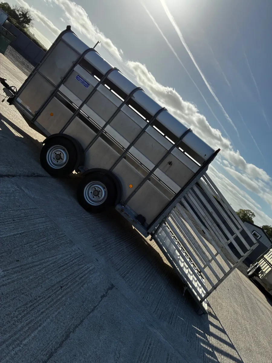 12ft ifor Williams cattle trailer - Image 4