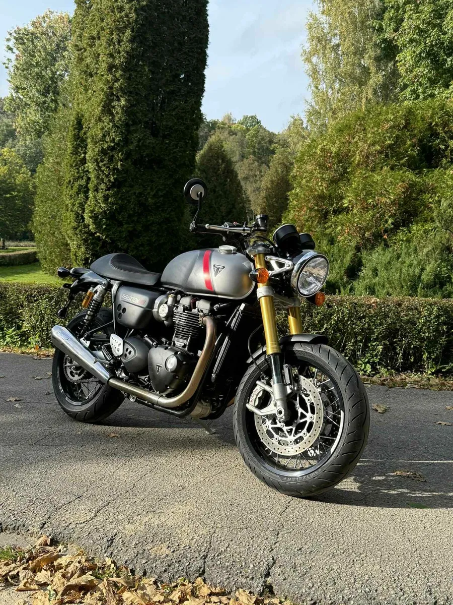 Triumph - Image 2