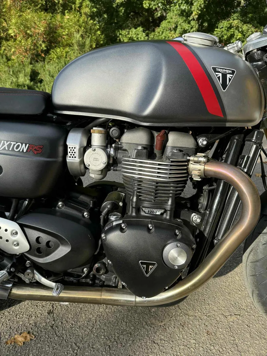 Triumph - Image 4