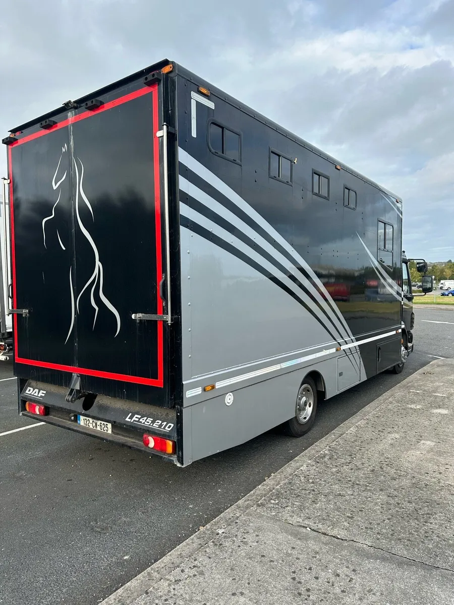 2013 daf lf 45.210 horse truck fresh doe spotless - Image 4