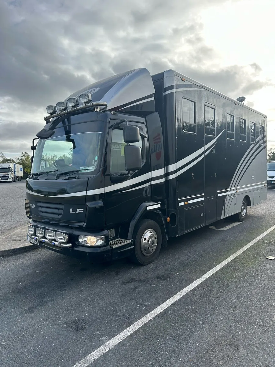2013 daf lf 45.210 horse truck fresh doe spotless - Image 2