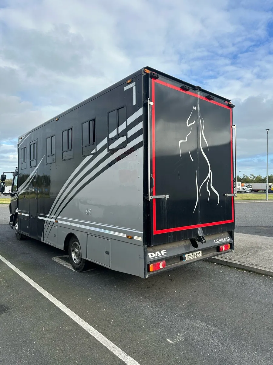 2013 daf lf 45.210 horse truck fresh doe spotless - Image 3