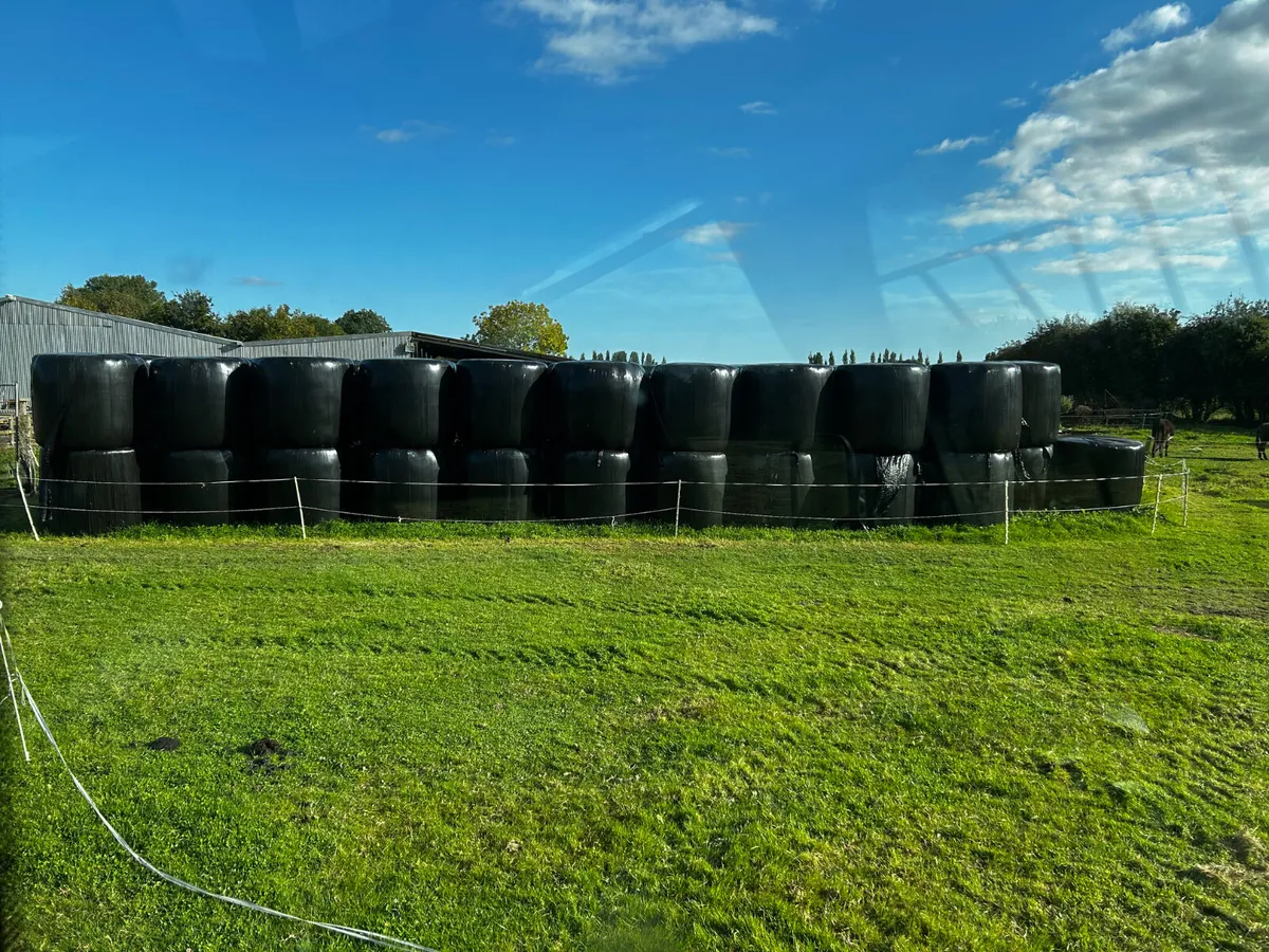 Haylage silage - Image 2