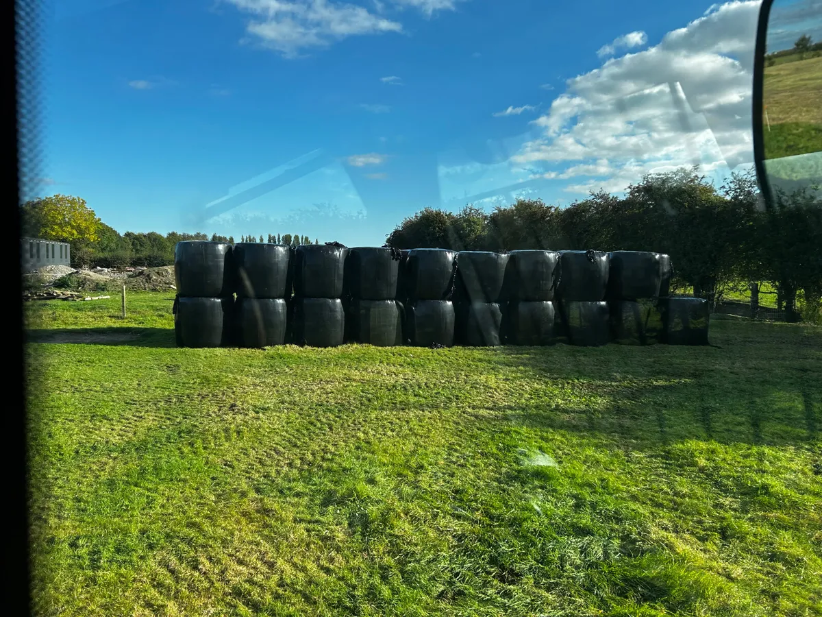 Haylage silage - Image 1