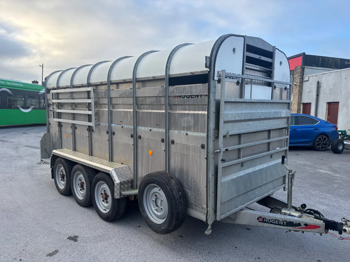 nugent 14ft c/w sheep decks - Image 2