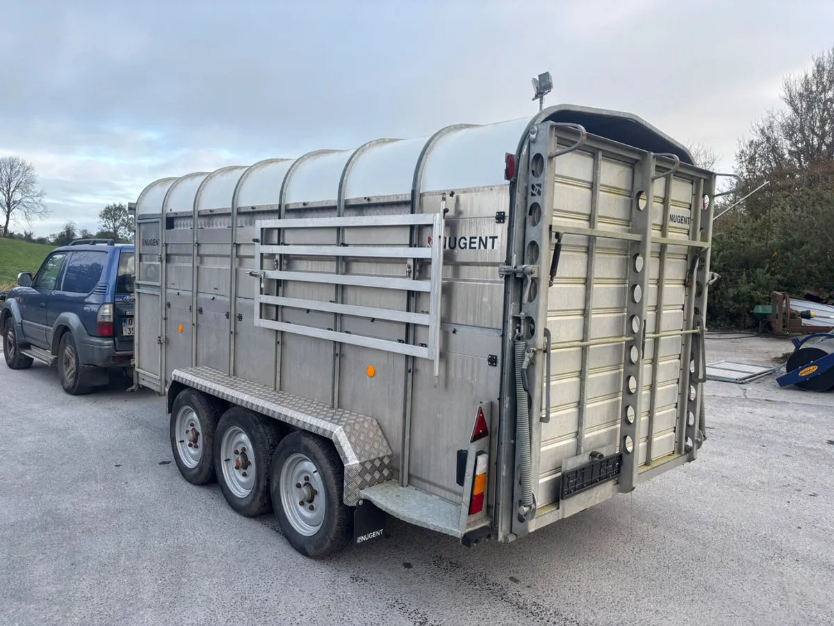 nugent 14ft c/w sheep decks - Image 1