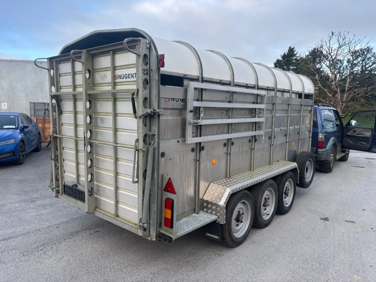 nugent 14ft c/w sheep decks - Image 3