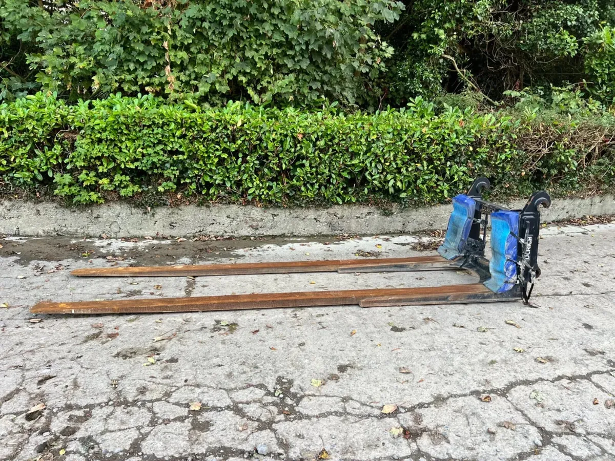 Ulrich Extended long forks - Image 1