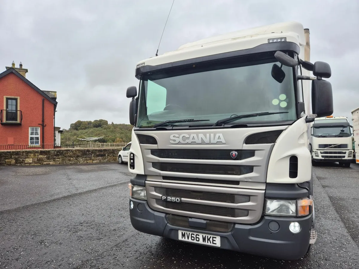 2016 Scania P250 s/cab Box van 1.5ton tail lift - Image 3