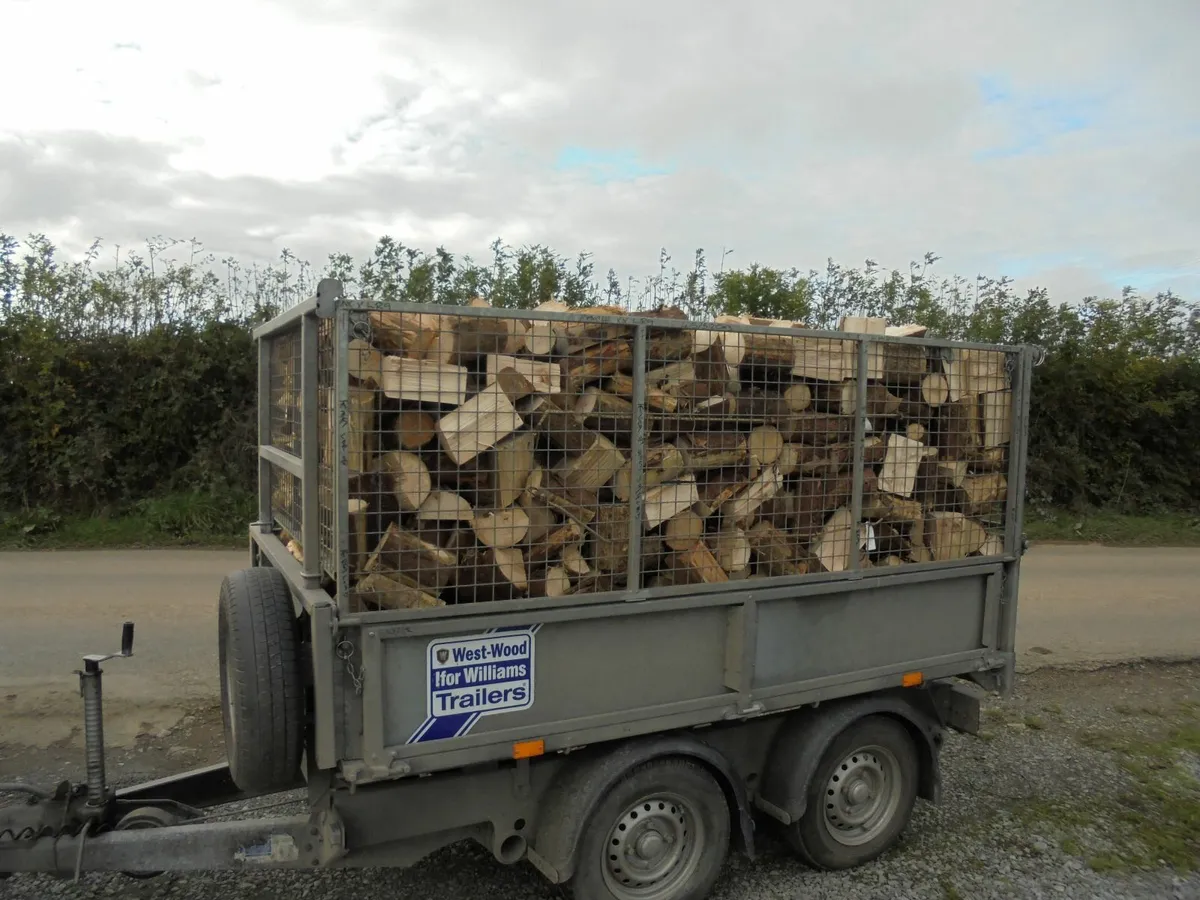 FIREWOOD. - Image 4