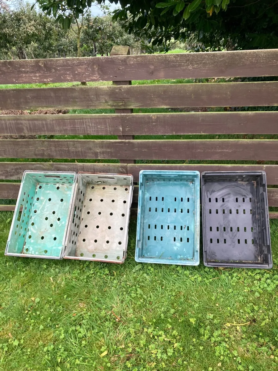 Plastic storage trays - Image 2