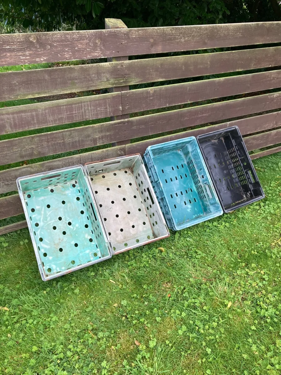Plastic storage trays - Image 3