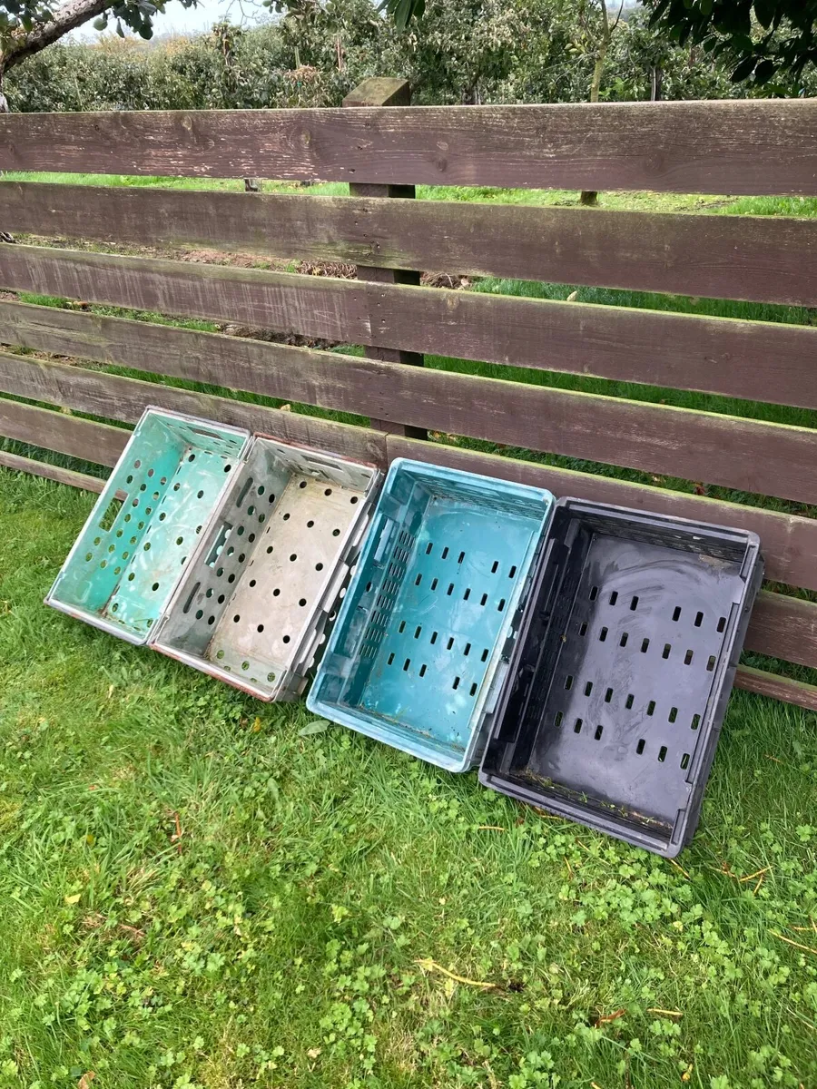 Plastic storage trays - Image 1