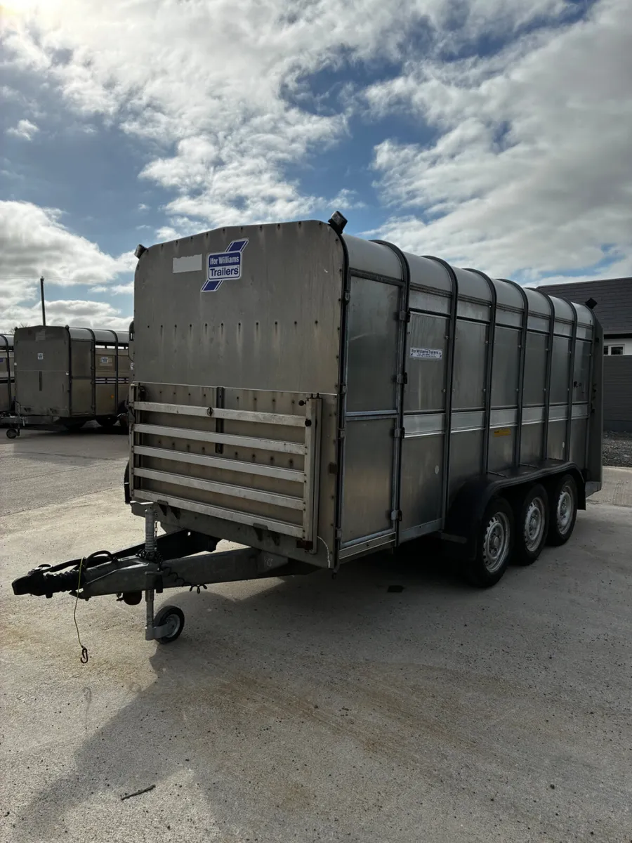 14ft ifor Williams livestock with decks - Image 3