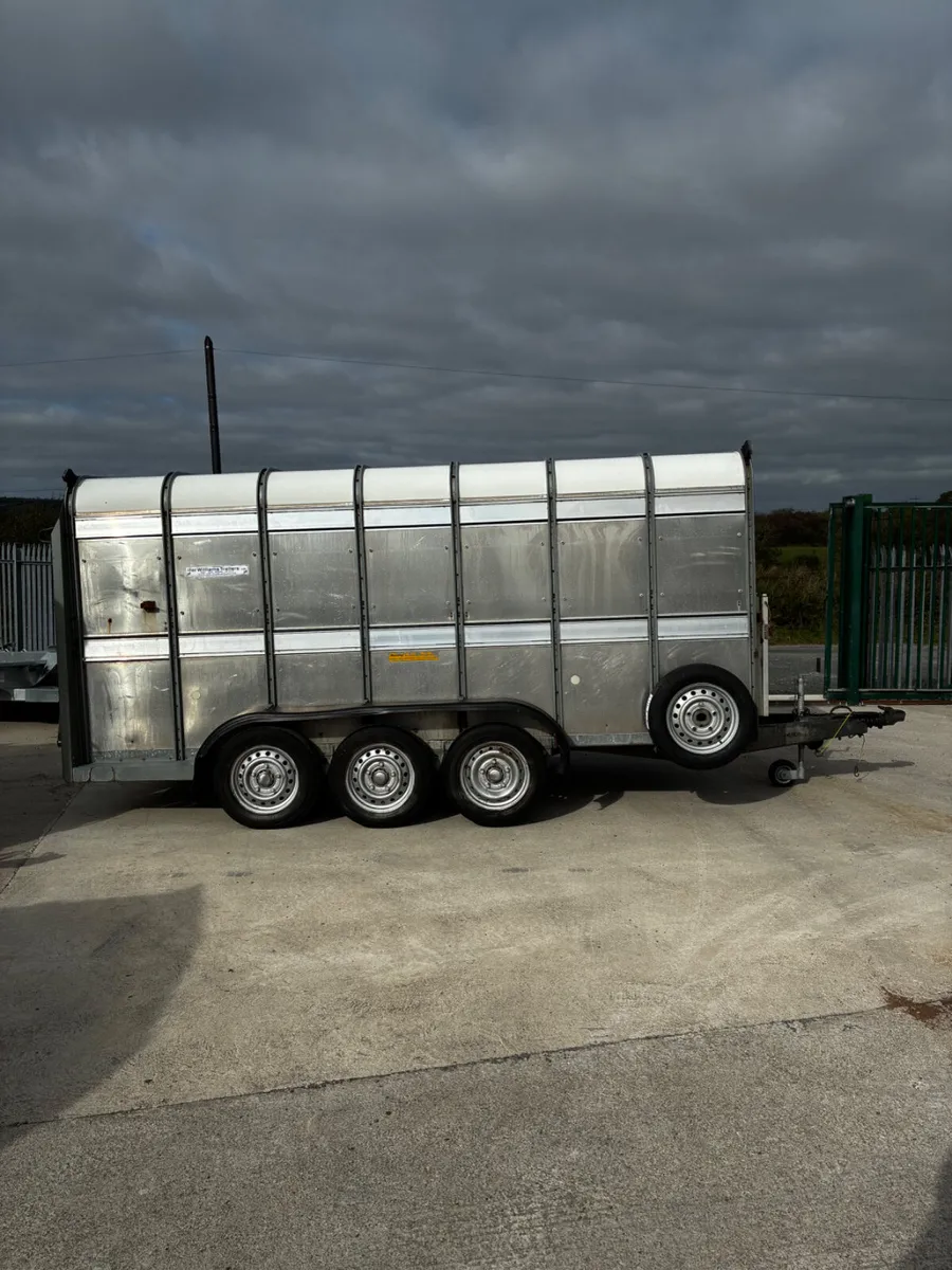 14ft ifor Williams livestock with decks - Image 1