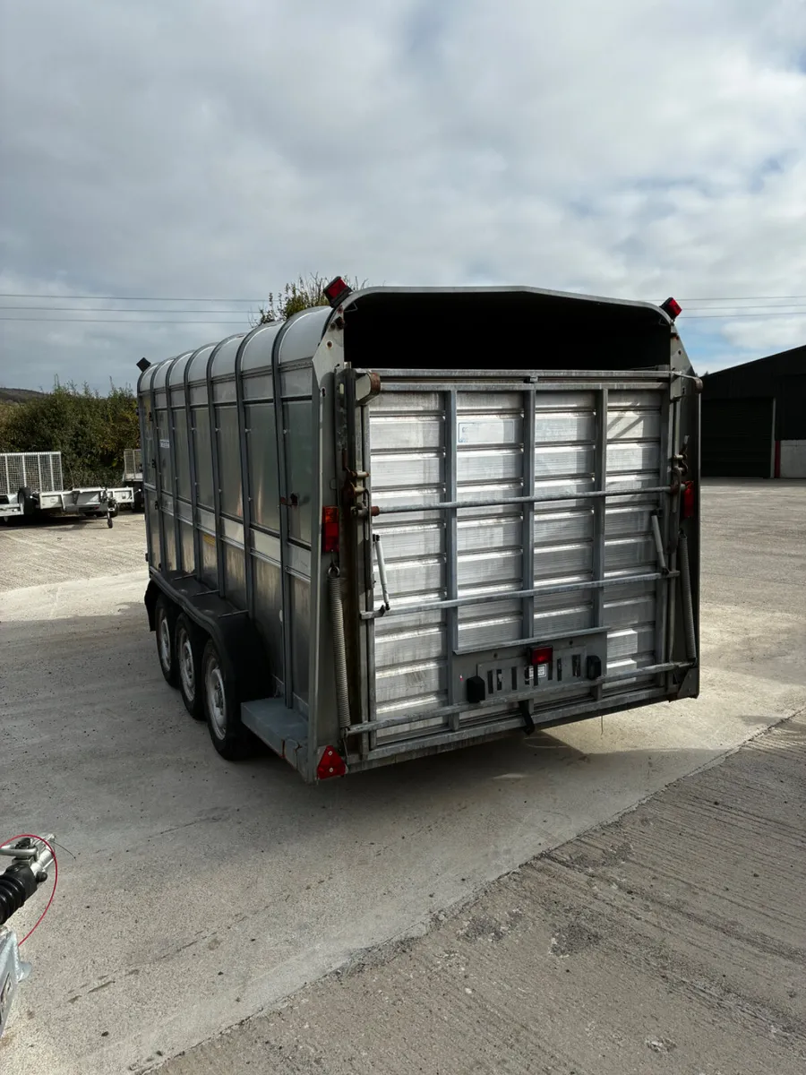 14ft ifor Williams livestock with decks - Image 4