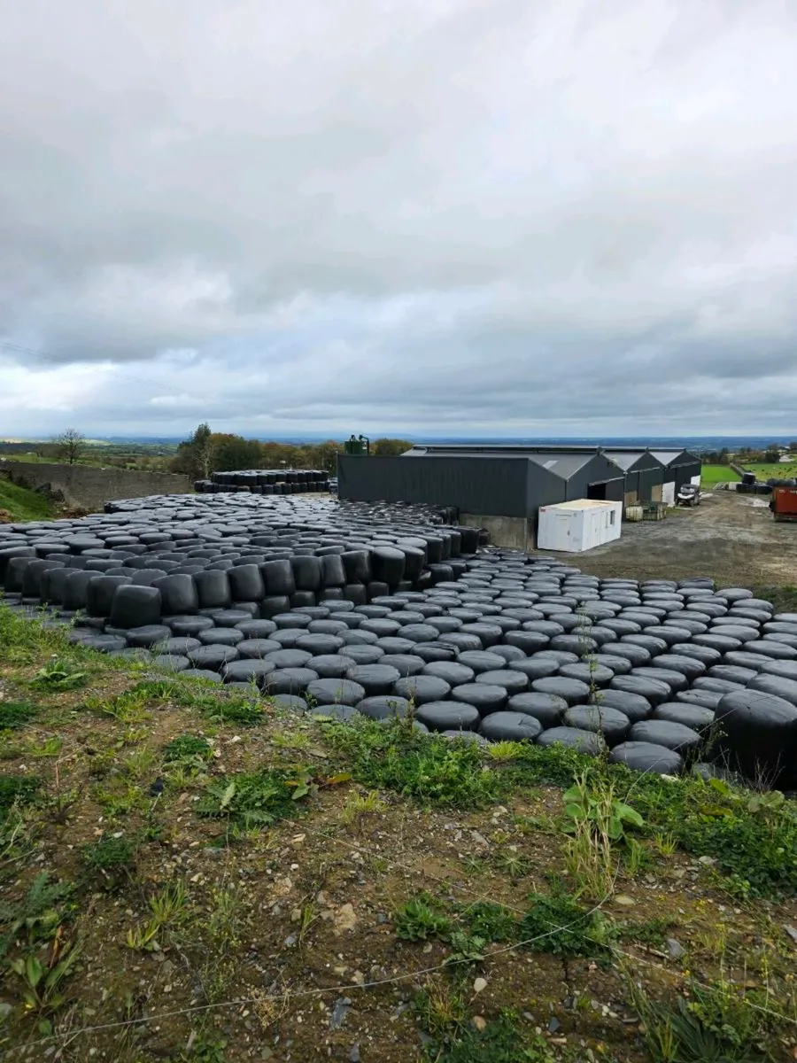 Silage Bales 1st & 2nd Cut - Image 1
