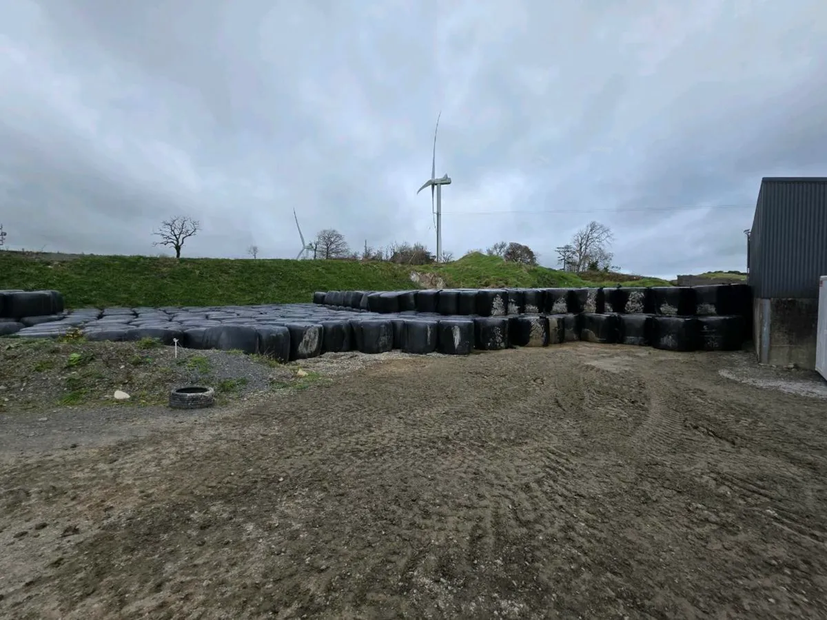 Silage Bales 1st & 2nd Cut - Image 2