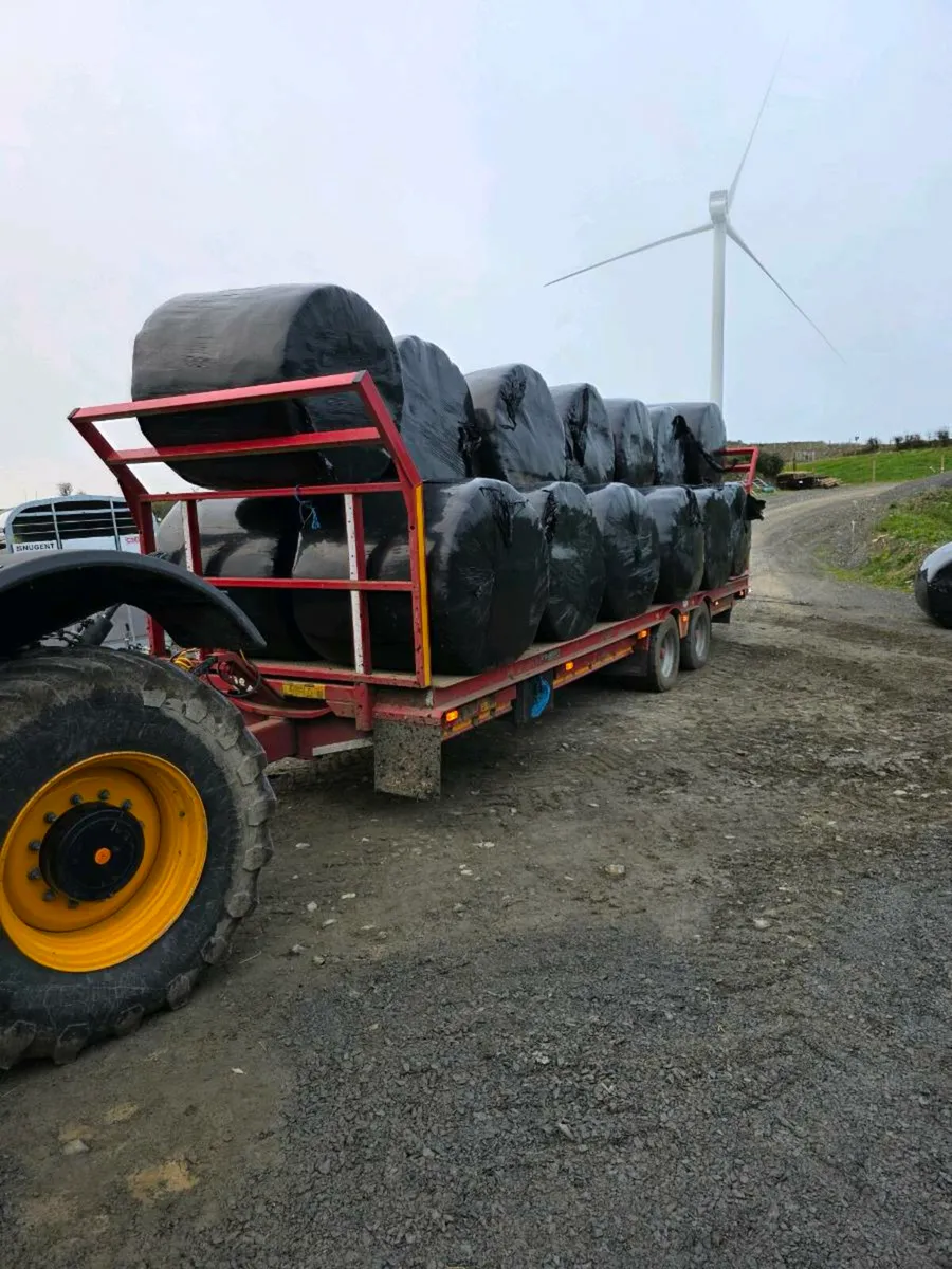 Silage Bales 1st & 2nd Cut - Image 3