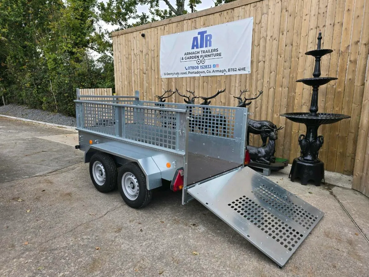 Broniss twin axle 8x4ft braked trailer meshsides - Image 3