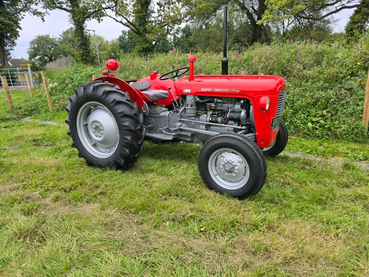 1962 massey ferguson 35 vintage tractor - Image 1