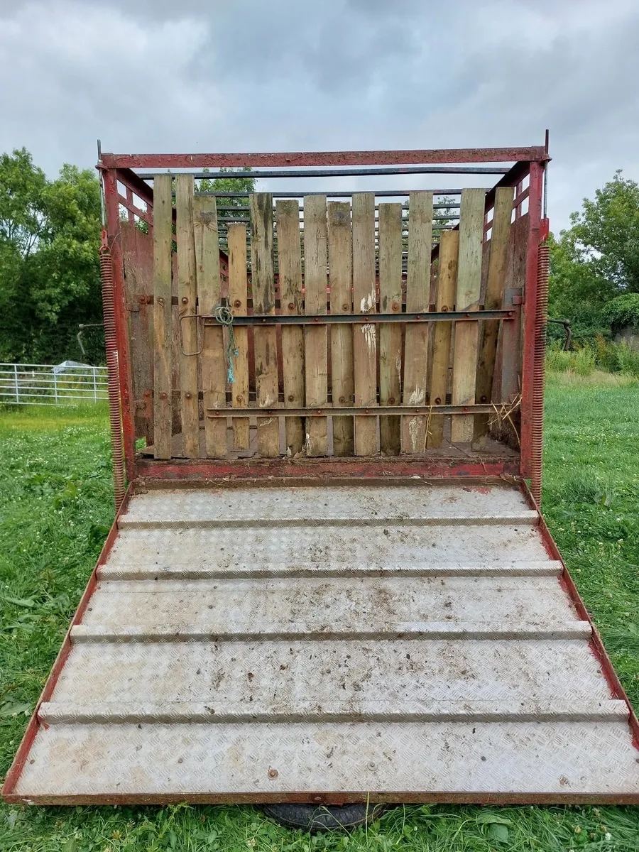 Cattle Trailer - Image 4