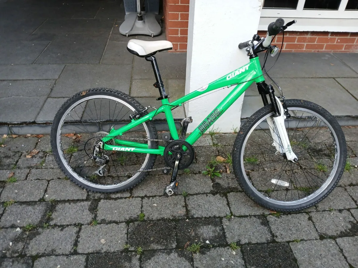 Giant Mountain bike - Image 1