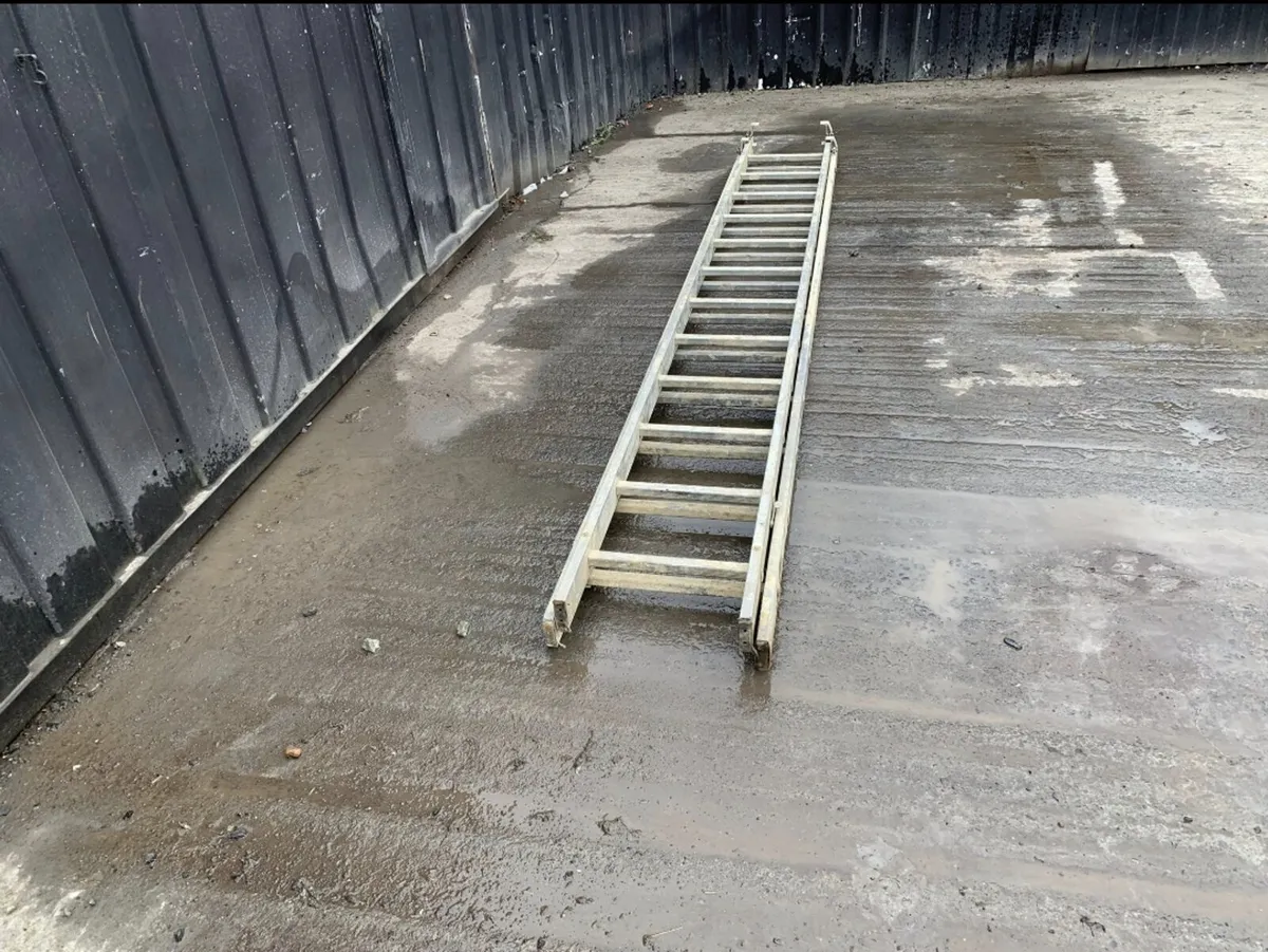 Double Extension Ladder - Image 2