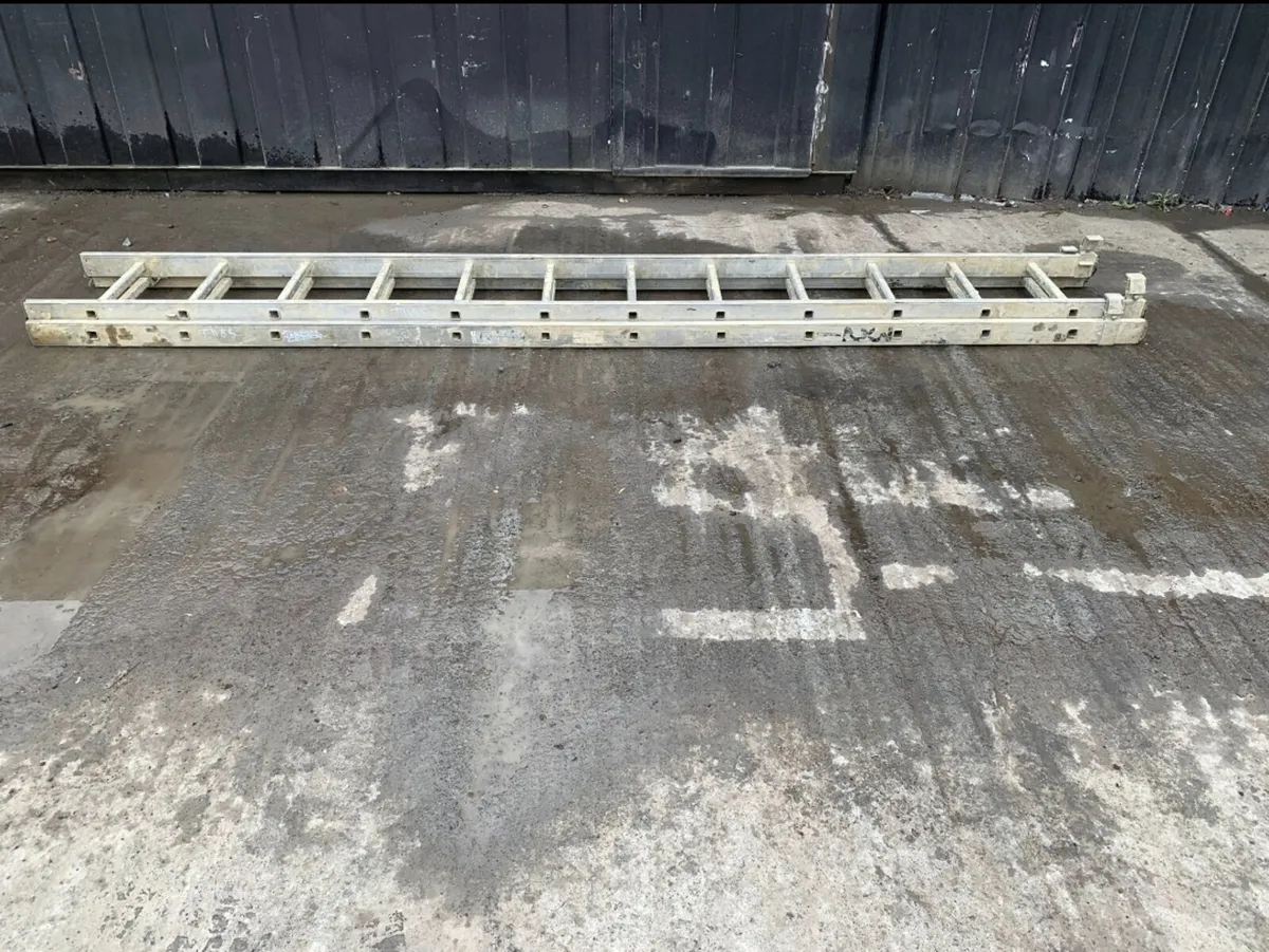 Double Extension Ladder - Image 1