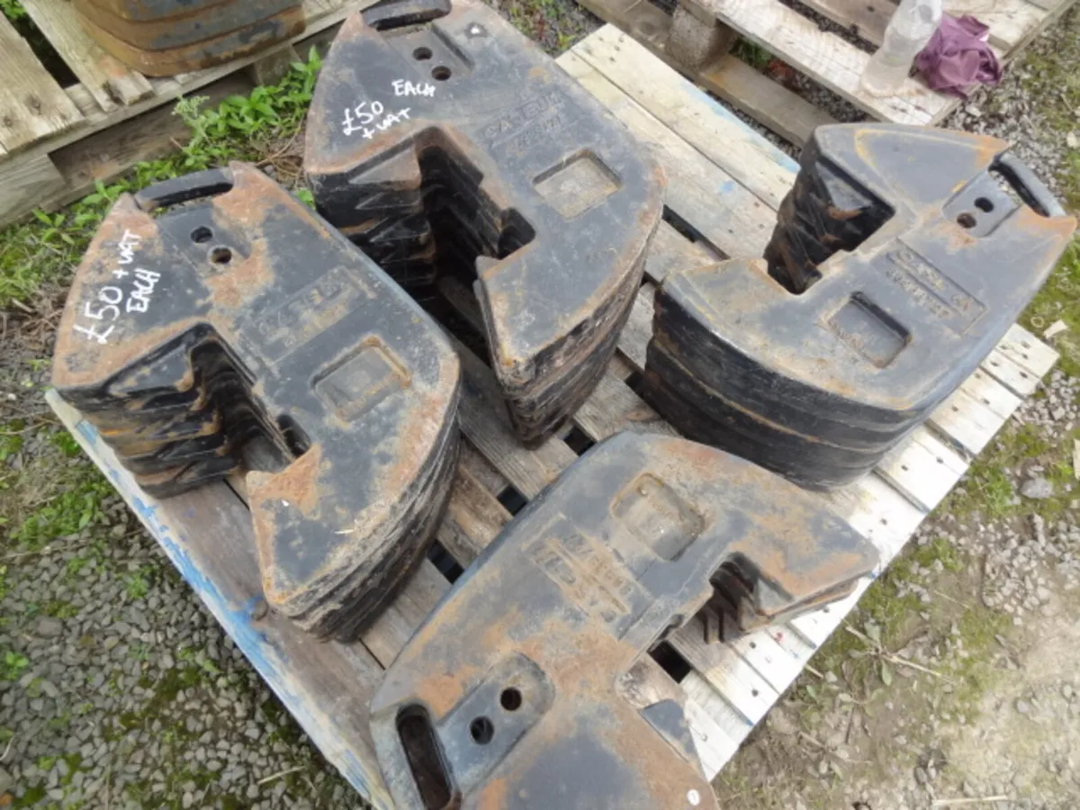 Case Weight Carrier and 45kg weights - Image 1