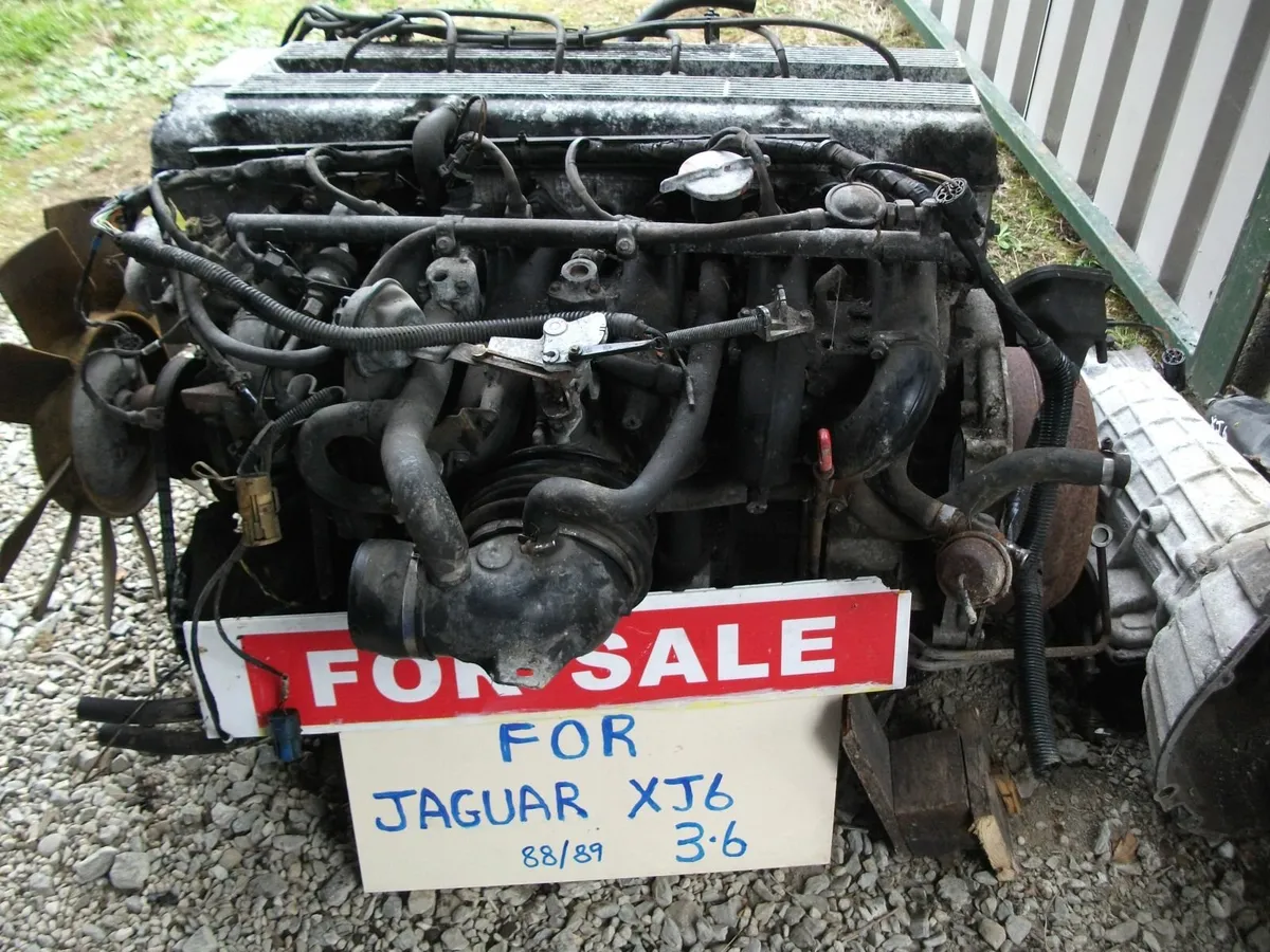 JAGUAR    XJ6    3. 6 - Image 3